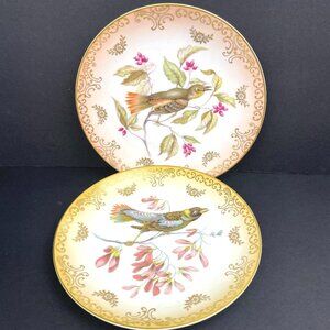 Set 2 Mitterteich Bavaria Germany 7.5" Decorative Bird Plates with Gold Accents